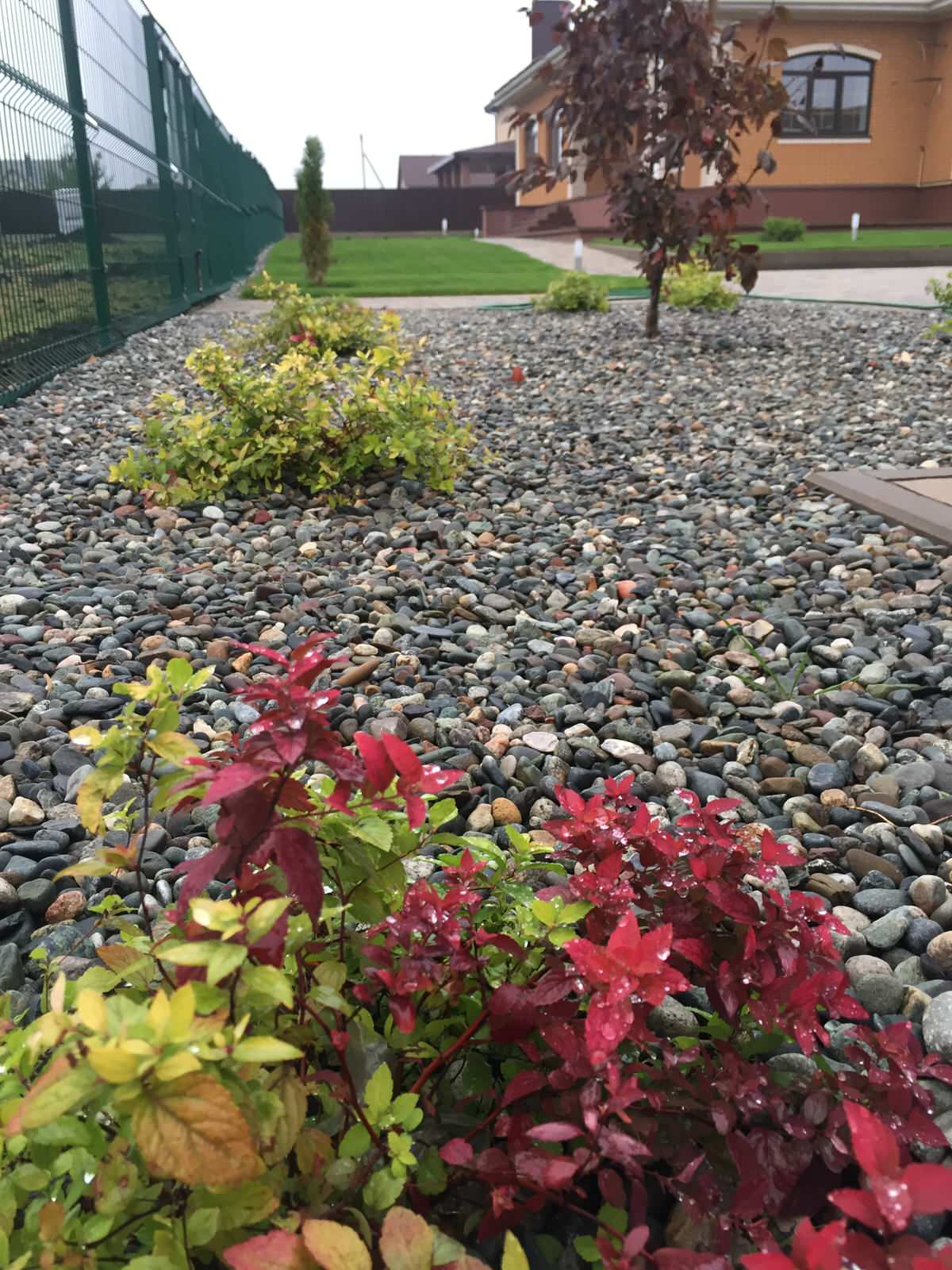 Обложка проекта: Майская