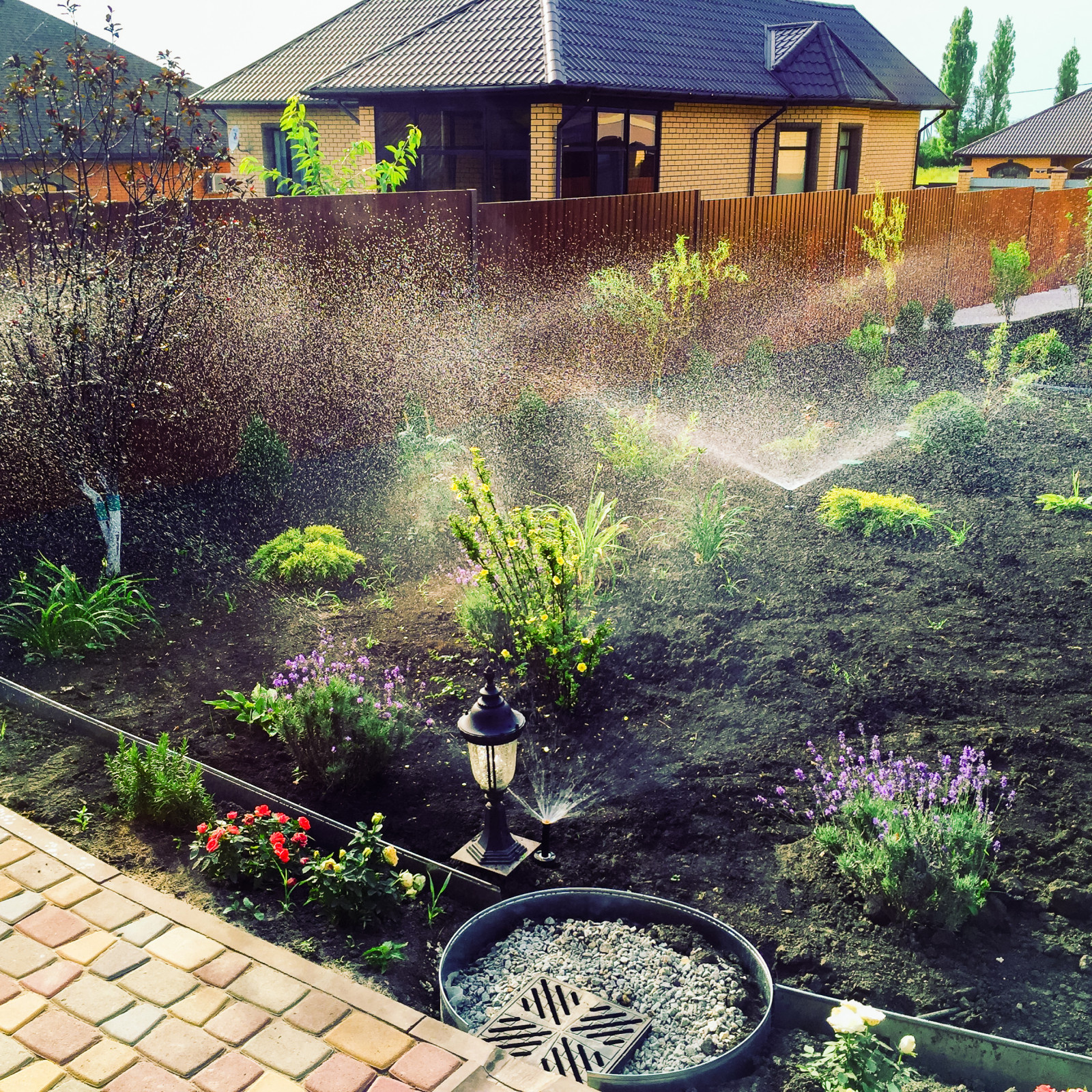 Обложка проекта: Дубрава