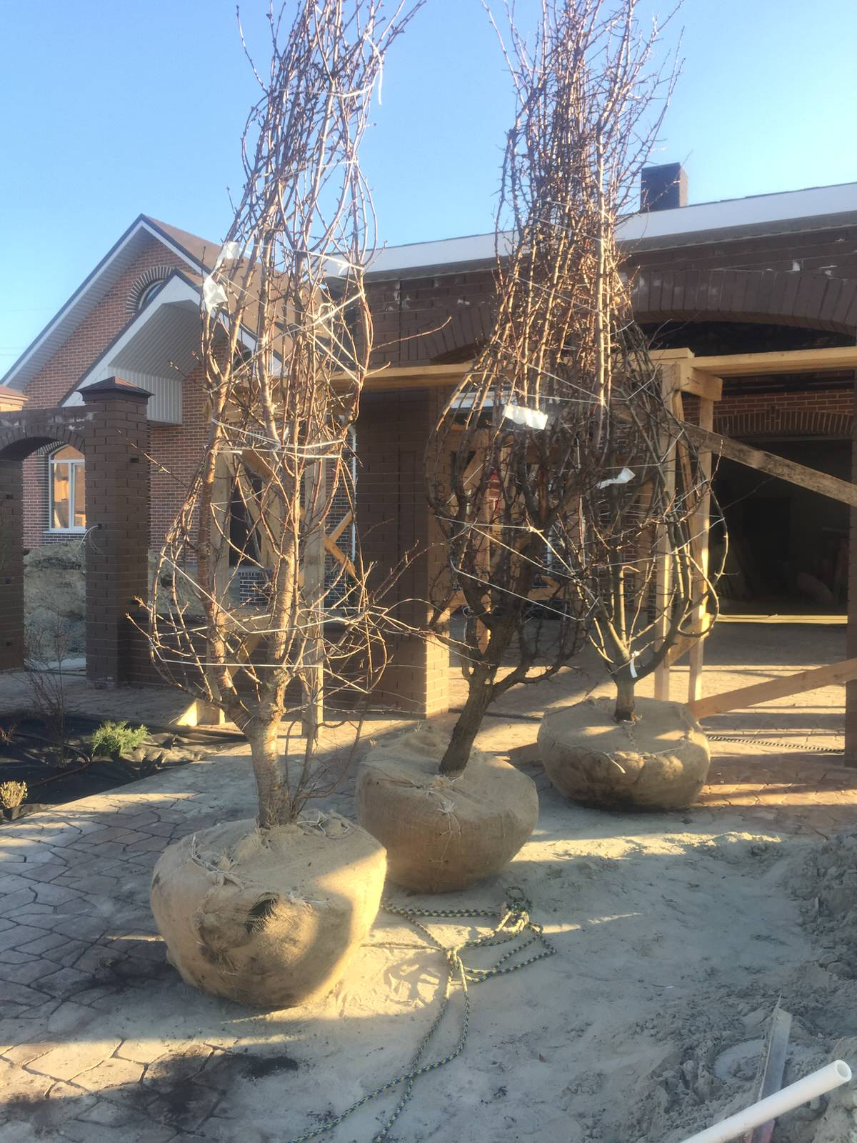 Московская