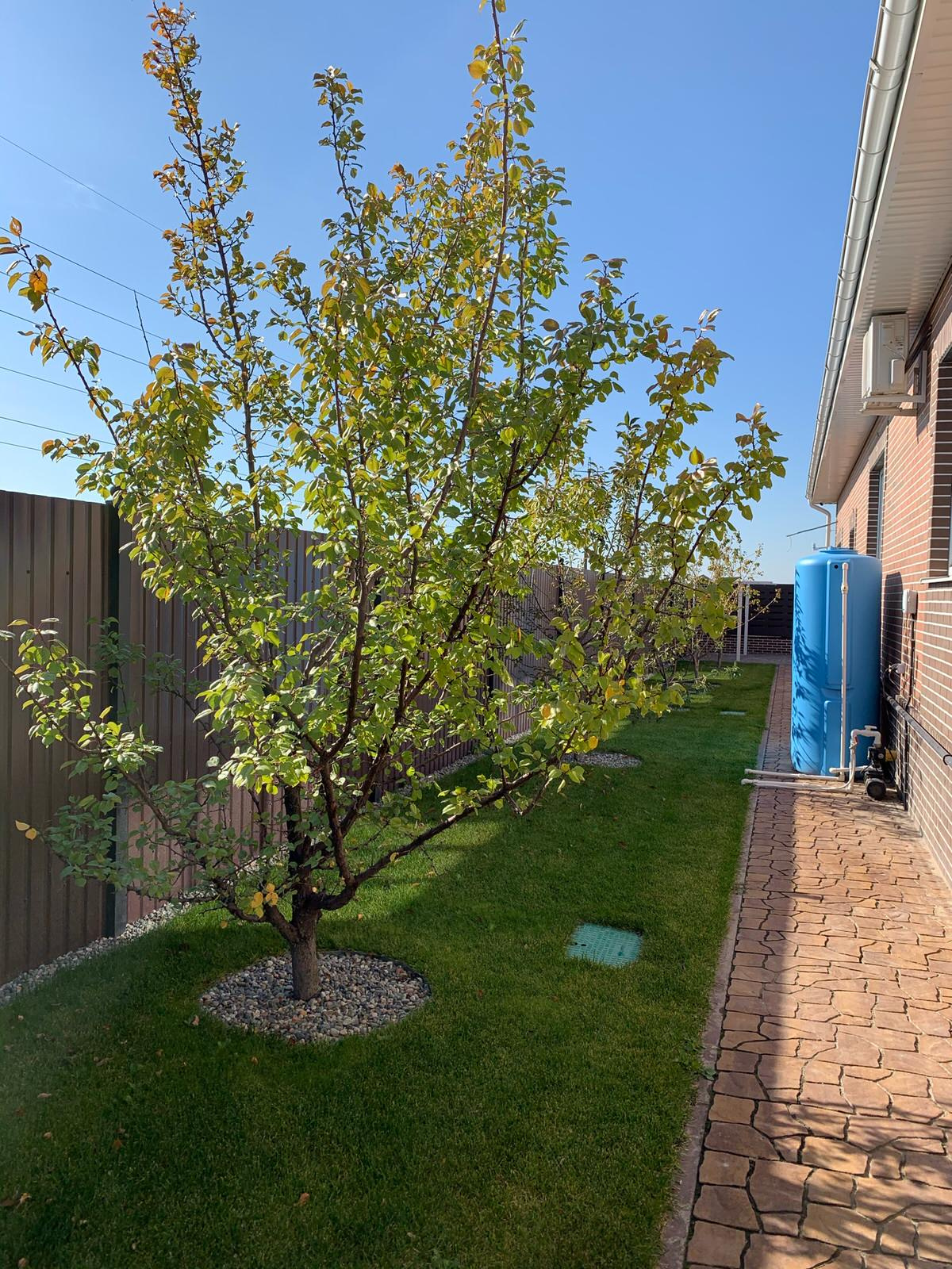 Московская