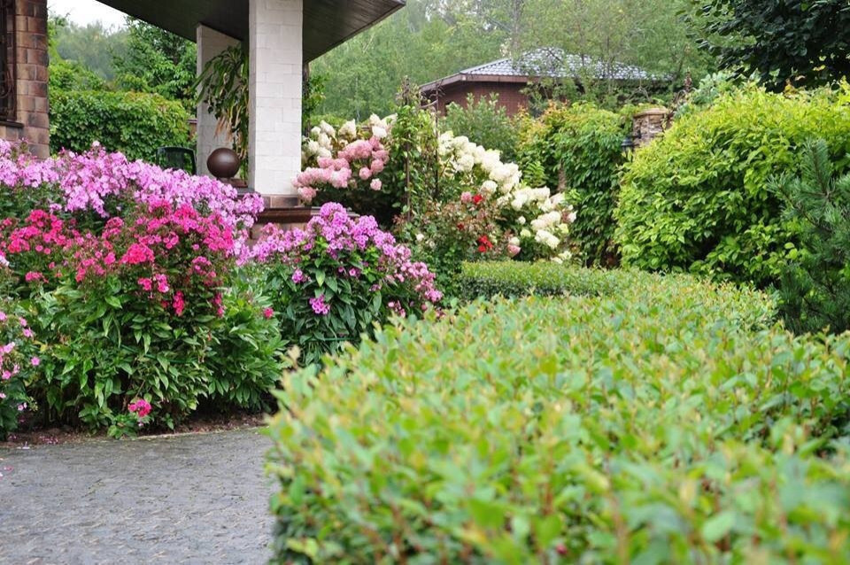 Сенькино московская обл