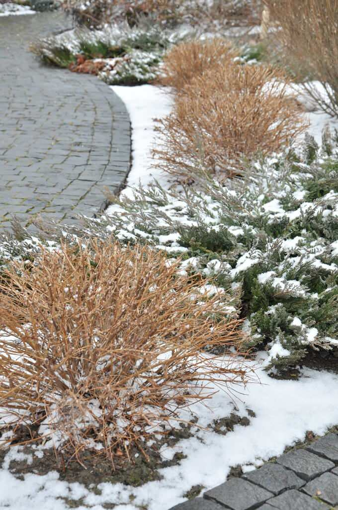 Сенькино московская обл