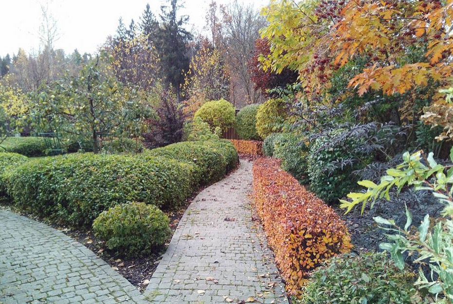 Сенькино московская обл