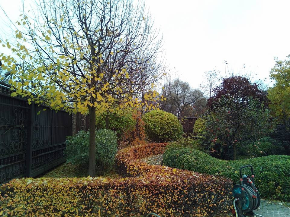 Сенькино московская обл