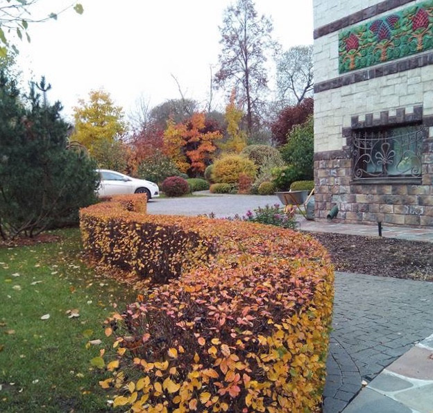 Сенькино московская обл