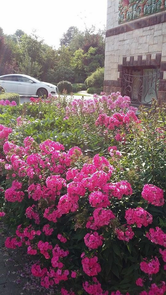 Сенькино московская обл