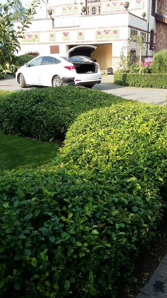 Сенькино московская обл