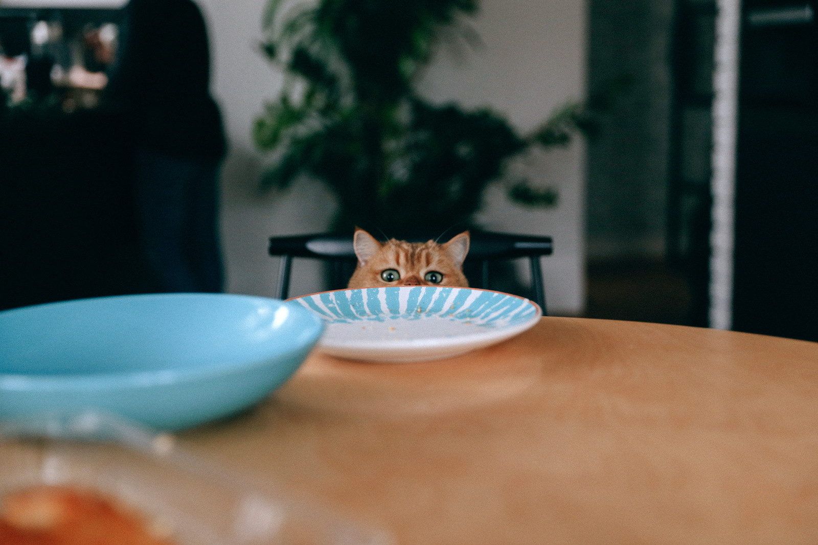 Ситуация: Дизайн-проект надо вести удаленно