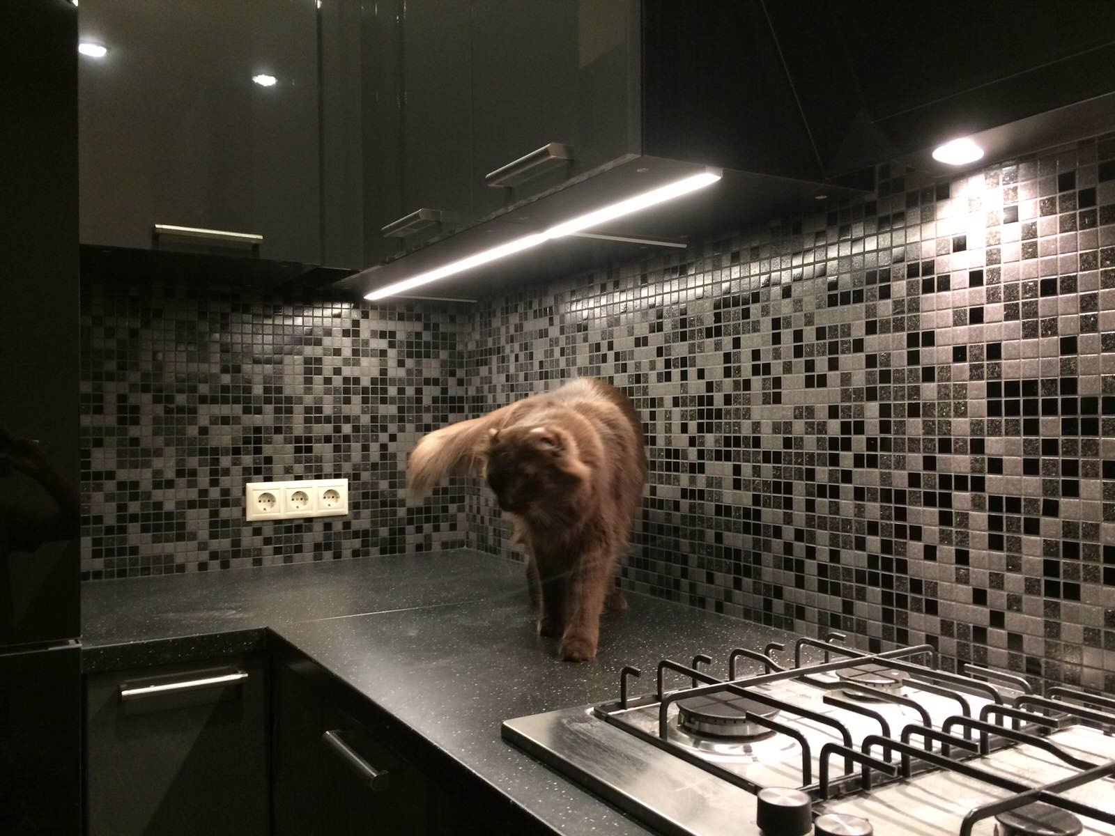 Примеры работ