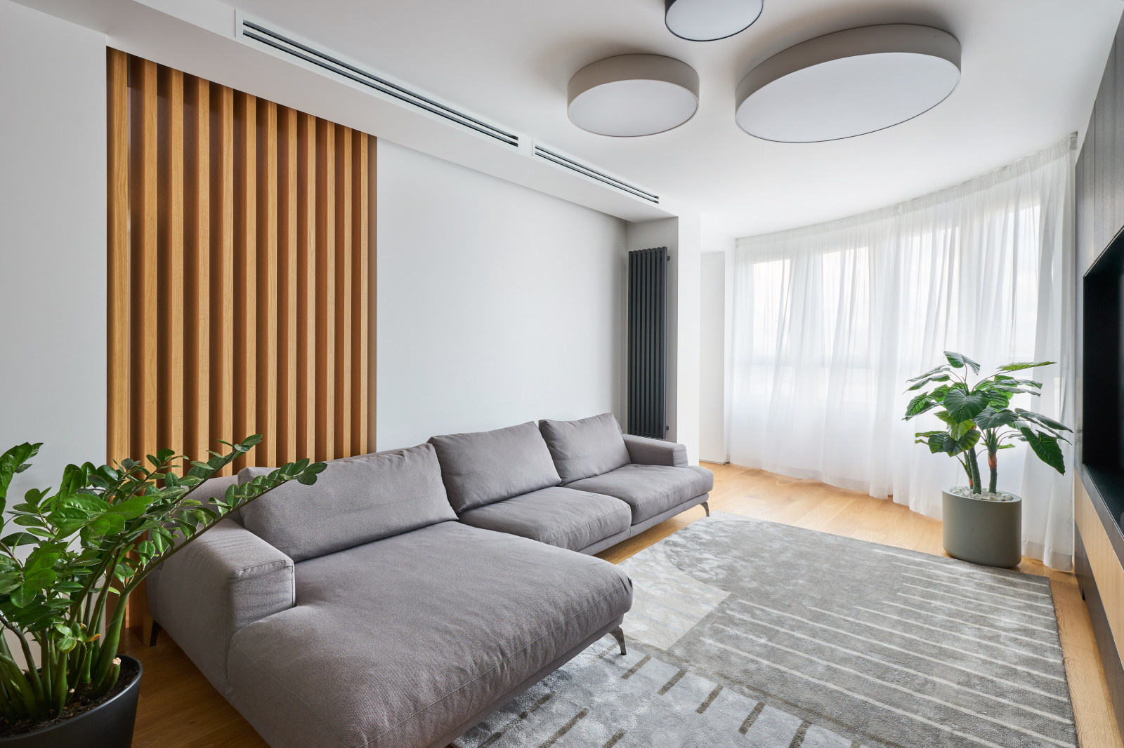 Фото TV зоны для DOMANI