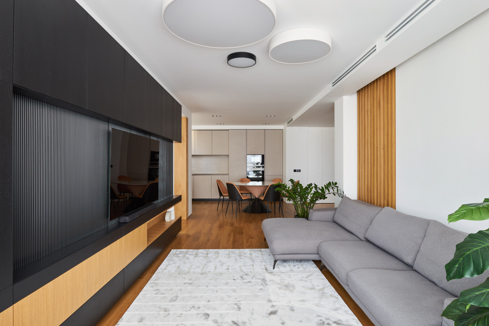 Фото TV зоны для DOMANI