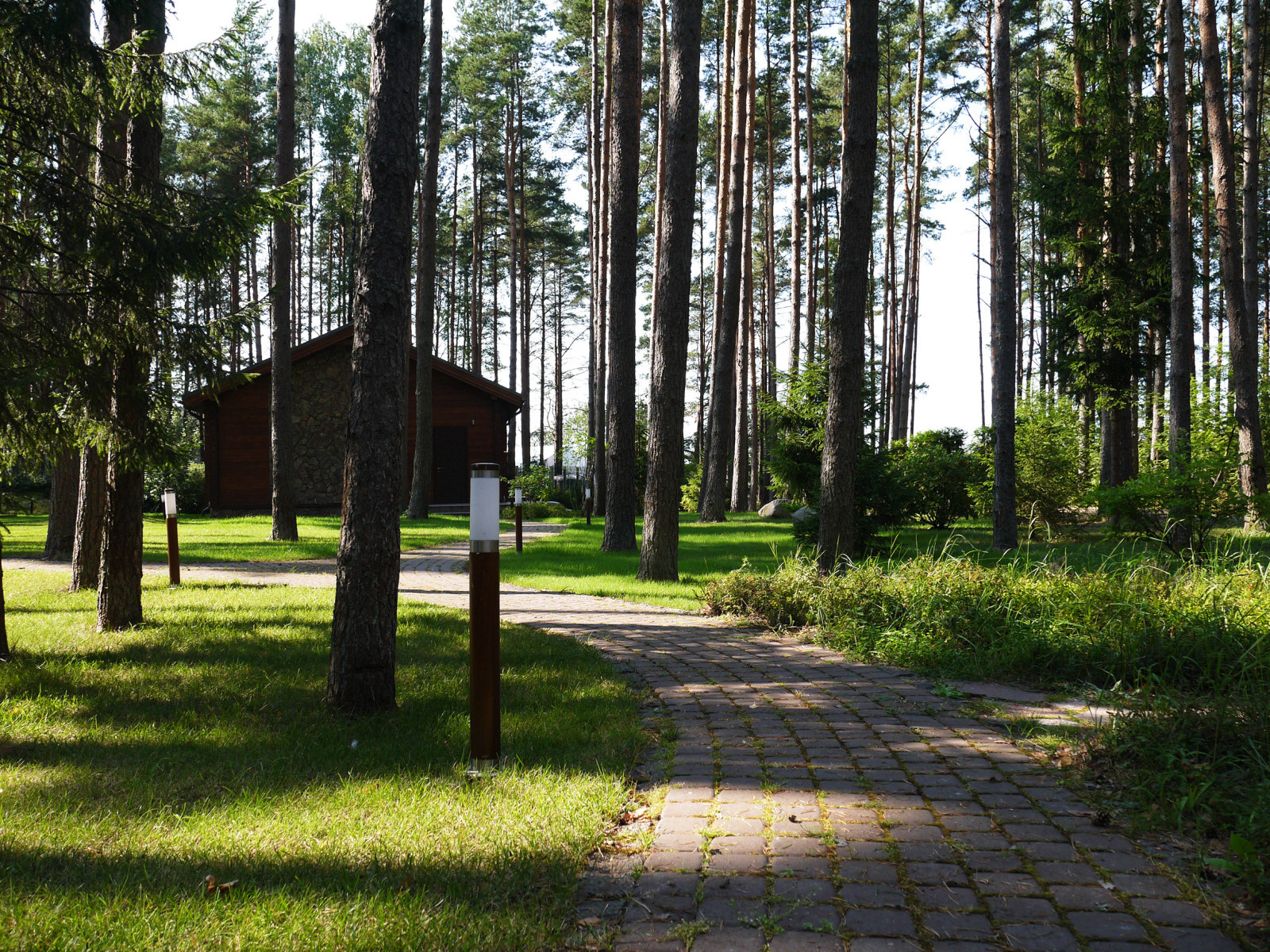 Окуневая
