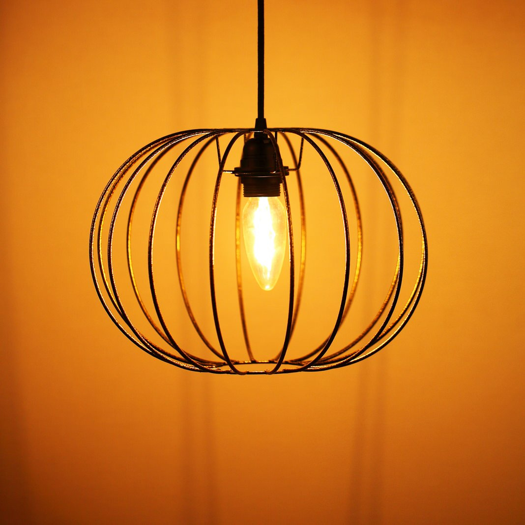 Highlights Ribs
