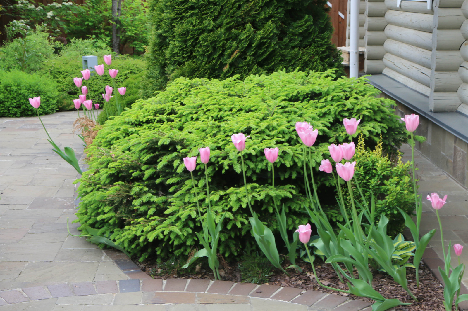 Композитор