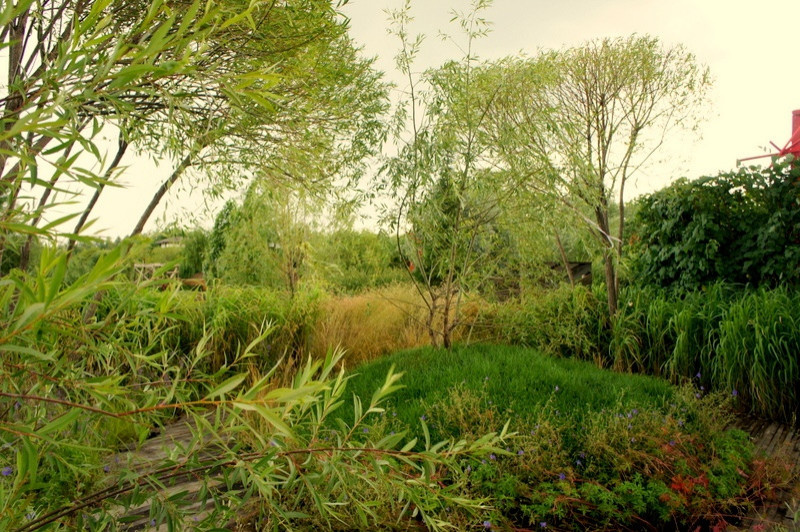 Надежда Варлакова