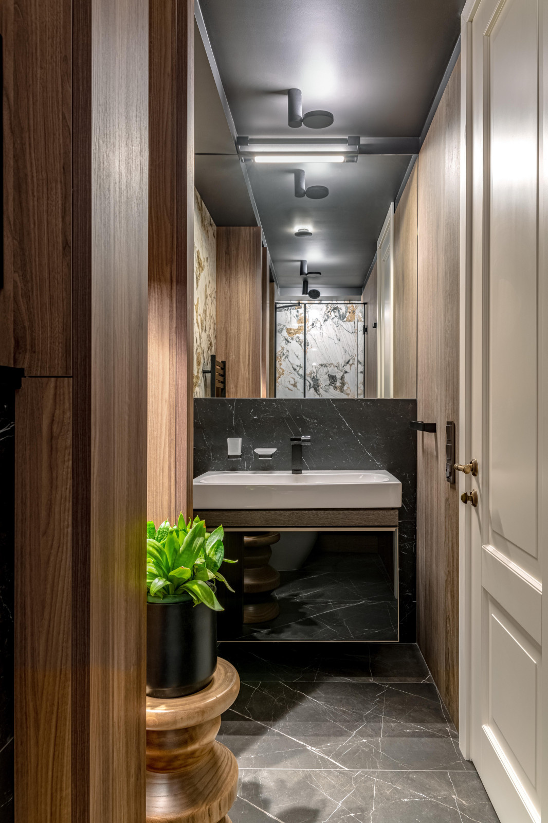 Главный санузел