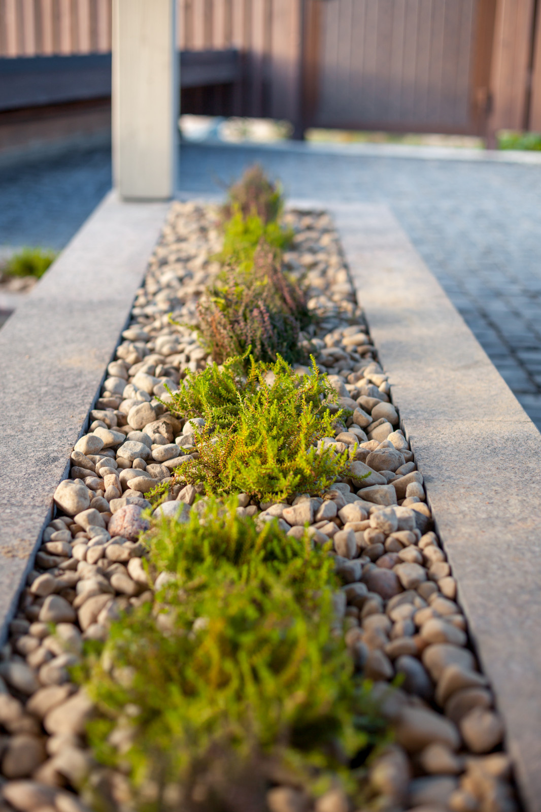 Золотые пески