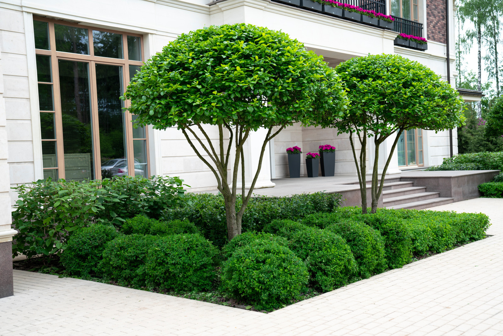 Обложка альбома: Вязовка