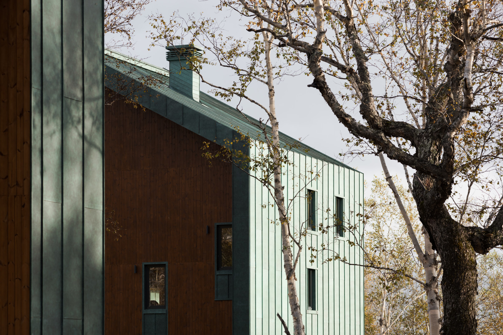 Houzz тур: Дом на Камчатке с видом на вулканы