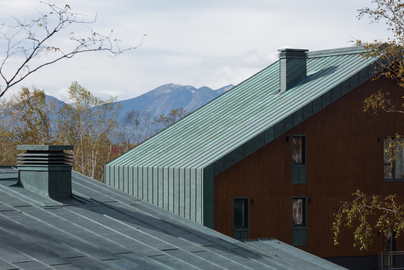 Houzz тур: Дом на Камчатке с видом на вулканы