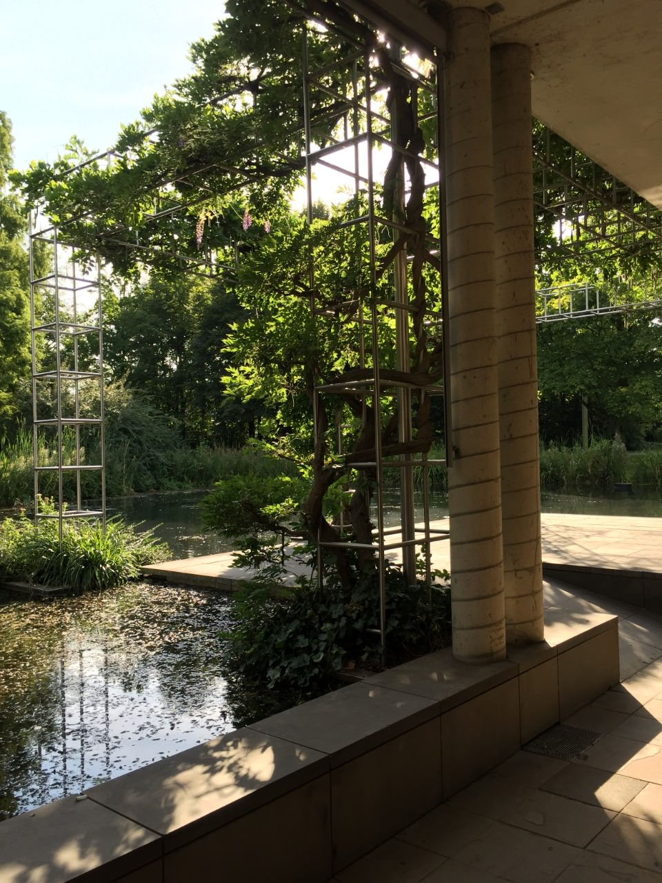 Катерина Серова