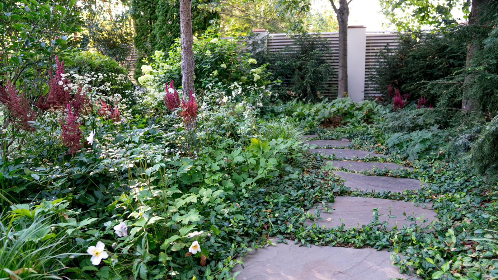 Очарование английского сада КП Балтия 2018 г