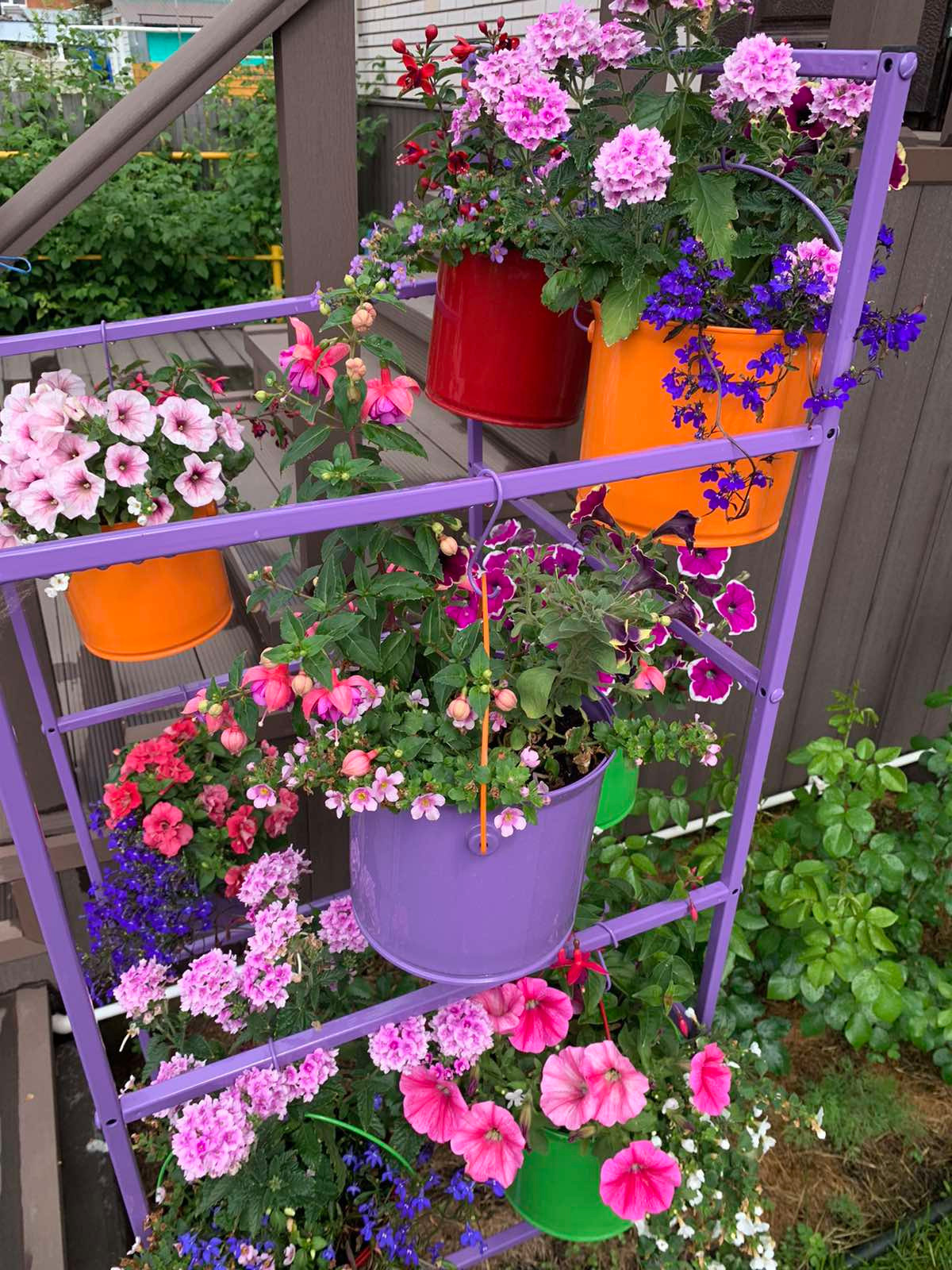 "Найди" решения для сада