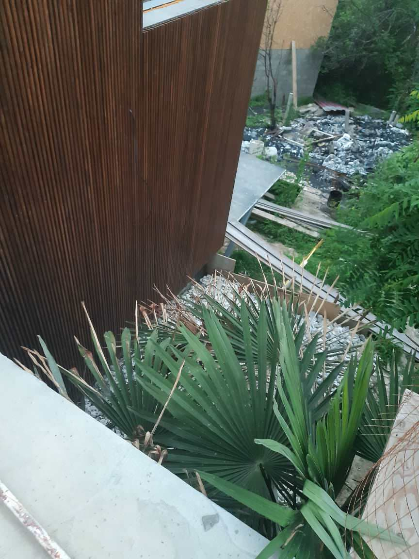 Valentina (Валентина) Pazii (Пазий)