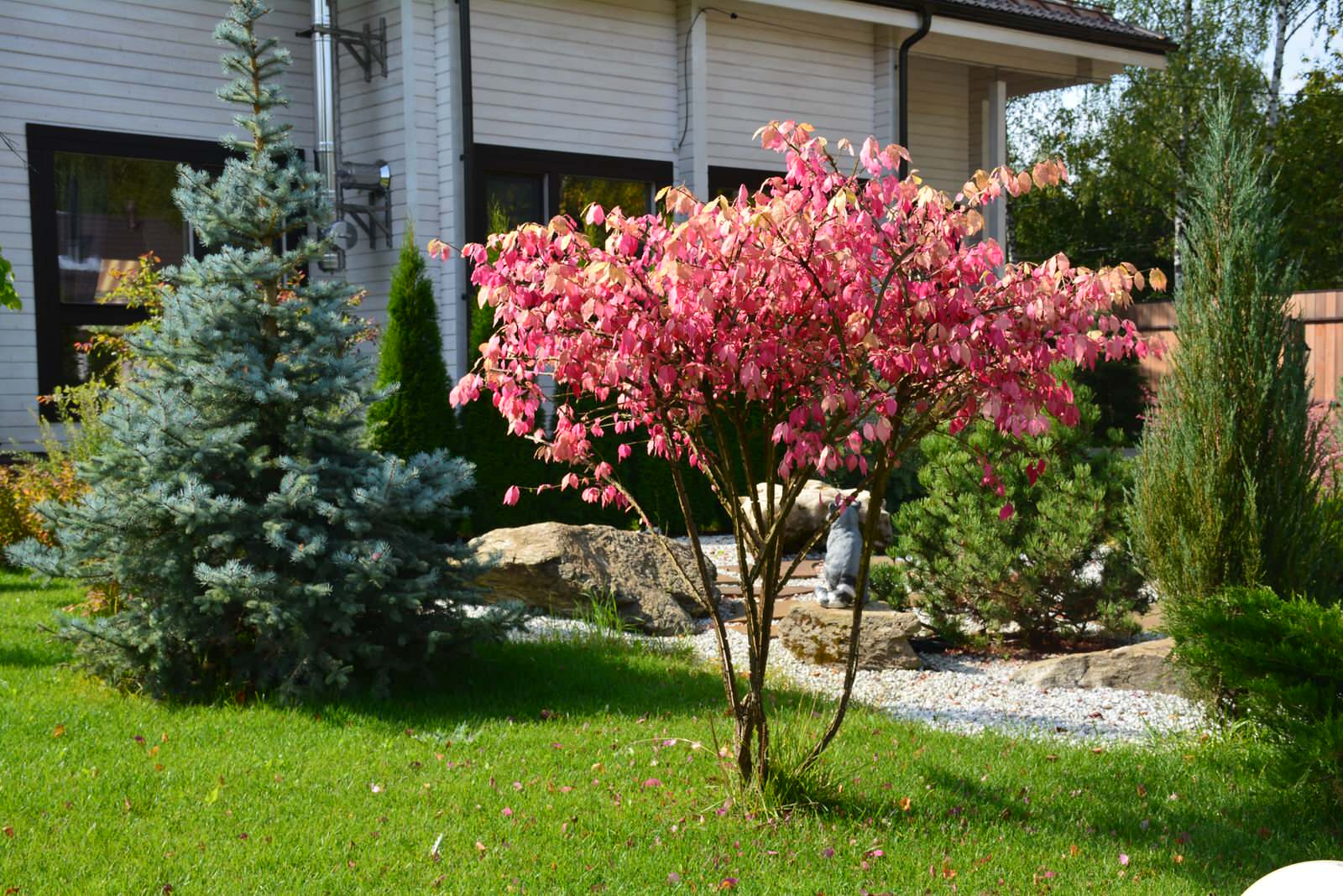 Проект недели: Трёхлетний альпийский сад в Подмосковье