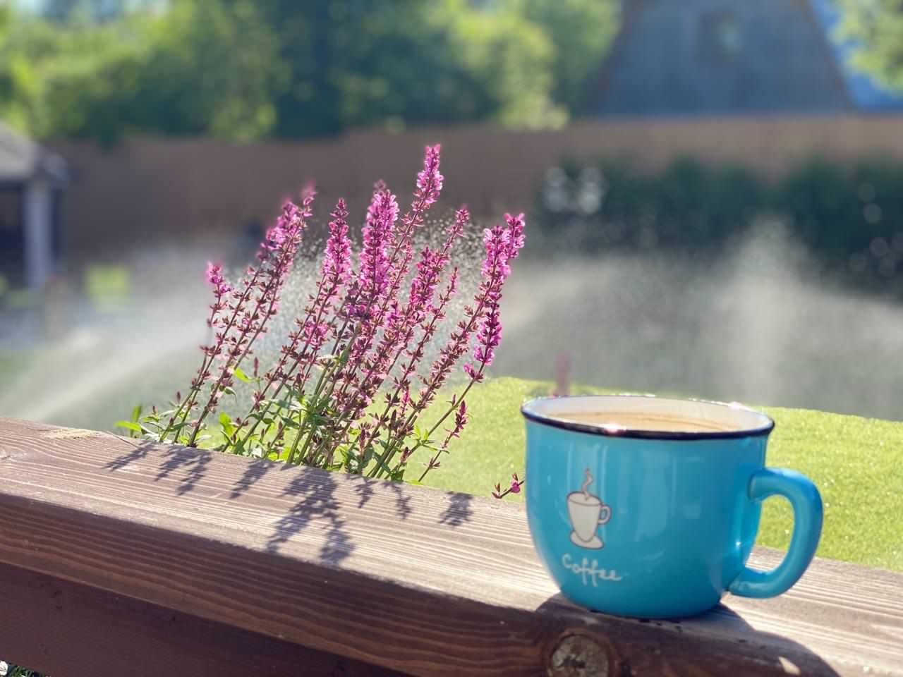 Проект недели: Трёхлетний альпийский сад в Подмосковье