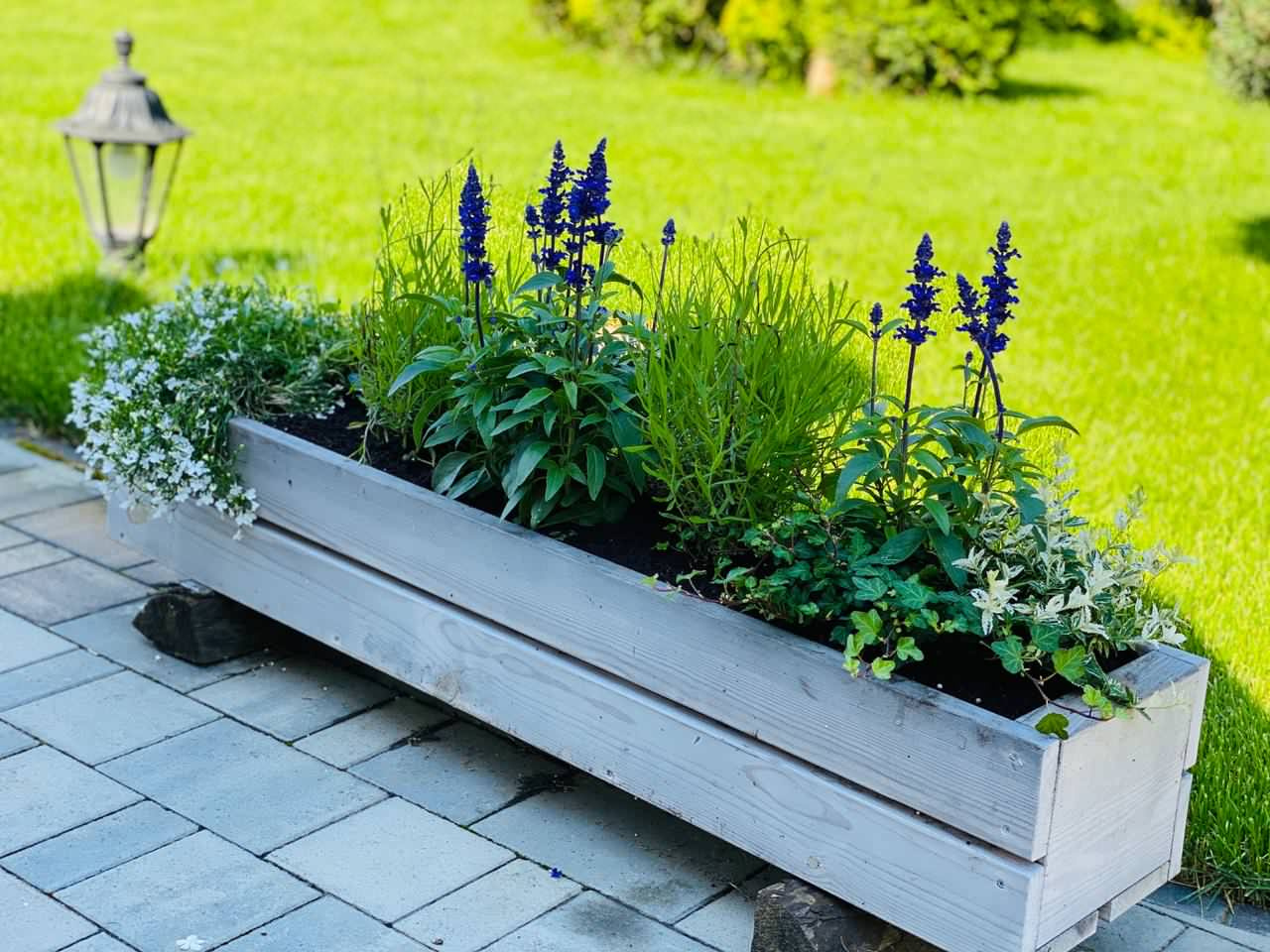 Проект недели: Трёхлетний альпийский сад в Подмосковье