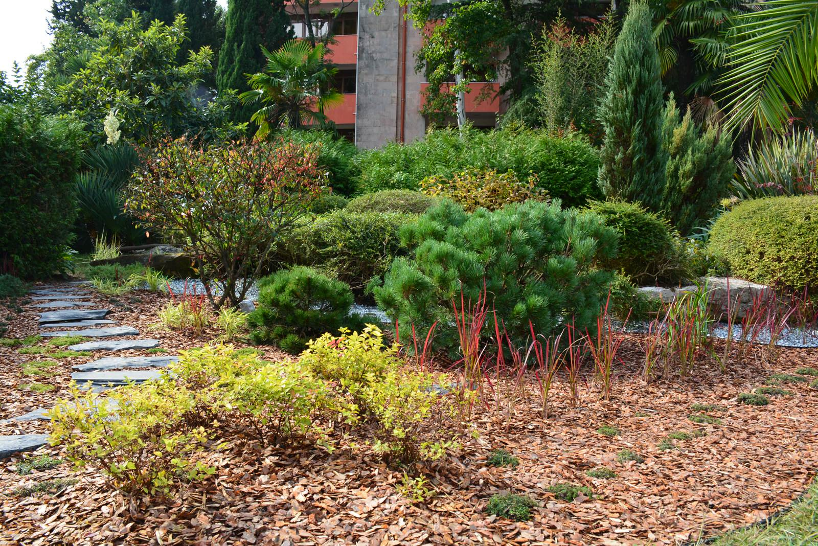 Адлер "Южное Взморье"