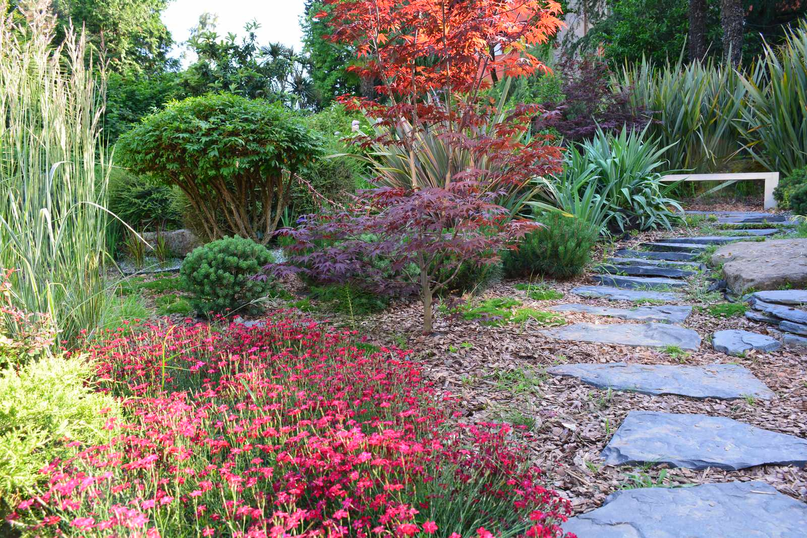 Адлер "Южное Взморье"