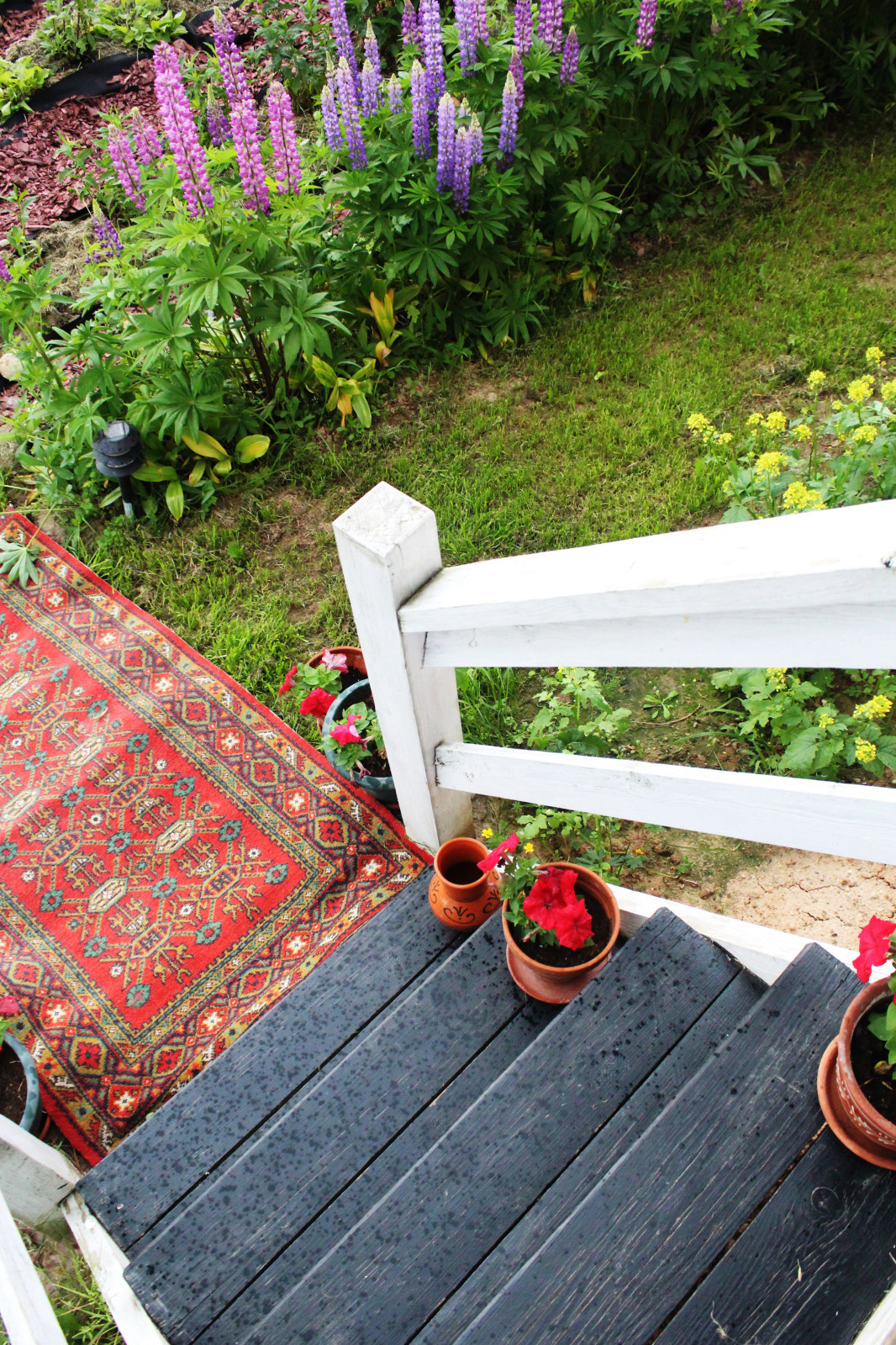 Проект благоустройства и озеленения территории в Подмосковье