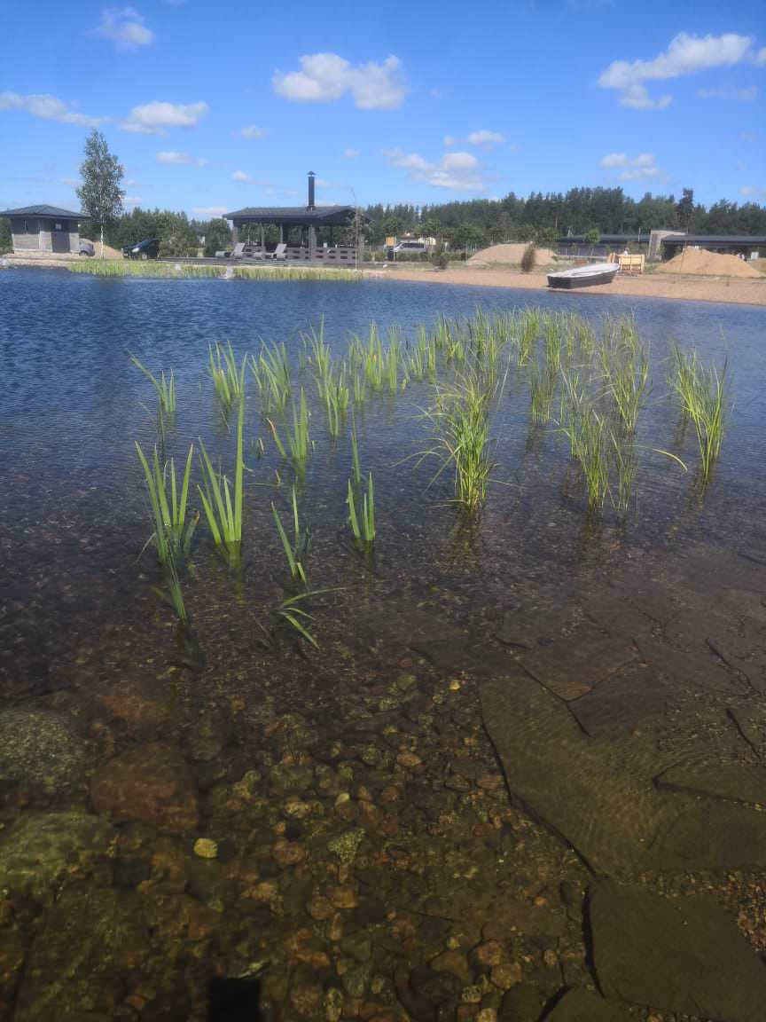 Декоративный водоём в п. Репино (Лен. обл.)