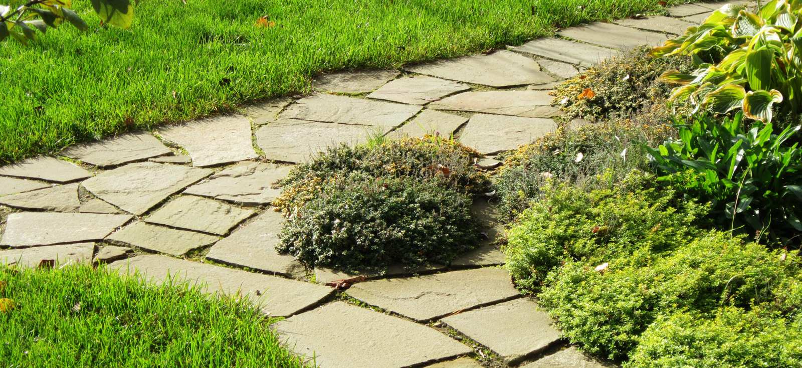 Елена Бекяшева