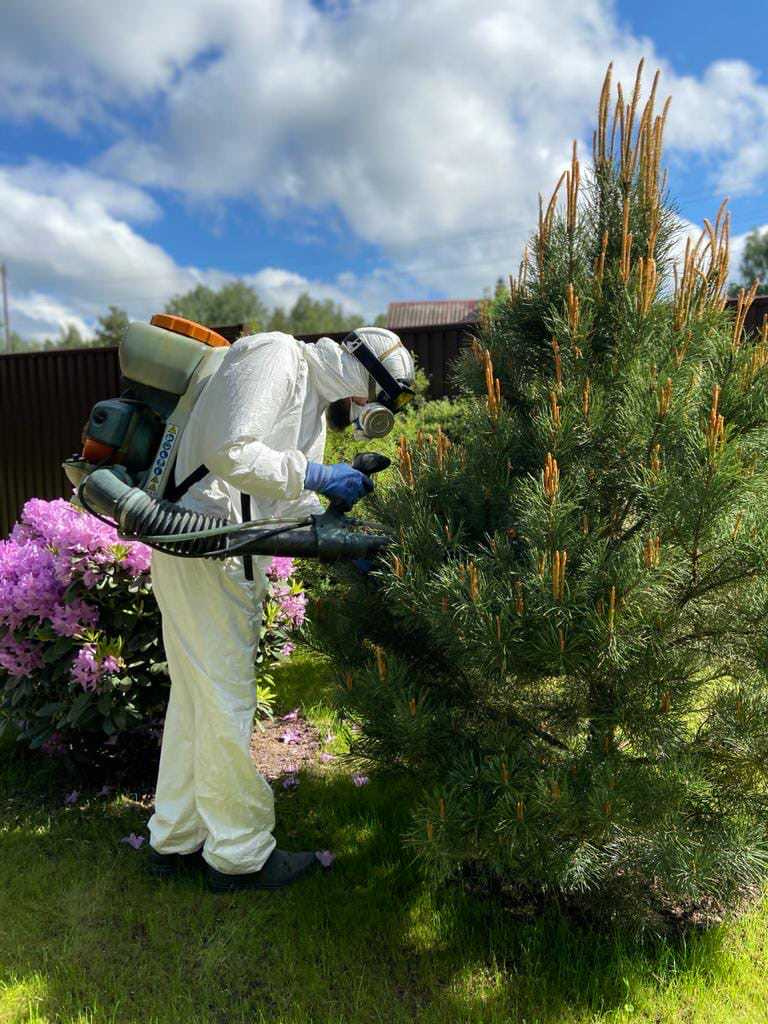 Обложка проекта: СЕРТОЛОВО