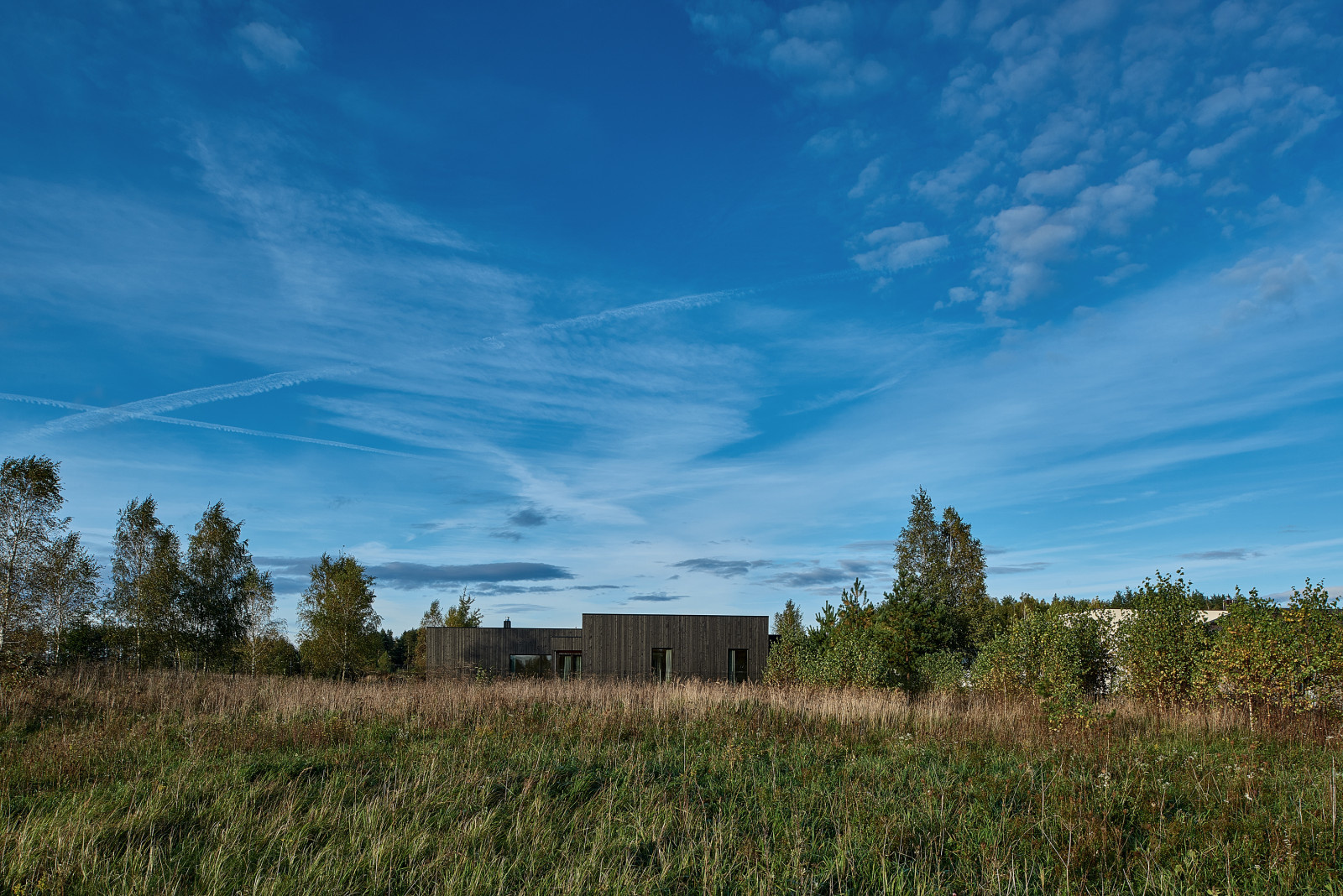 Houzz Литва: Дом на окраине Вильнюса, куда приходят олени