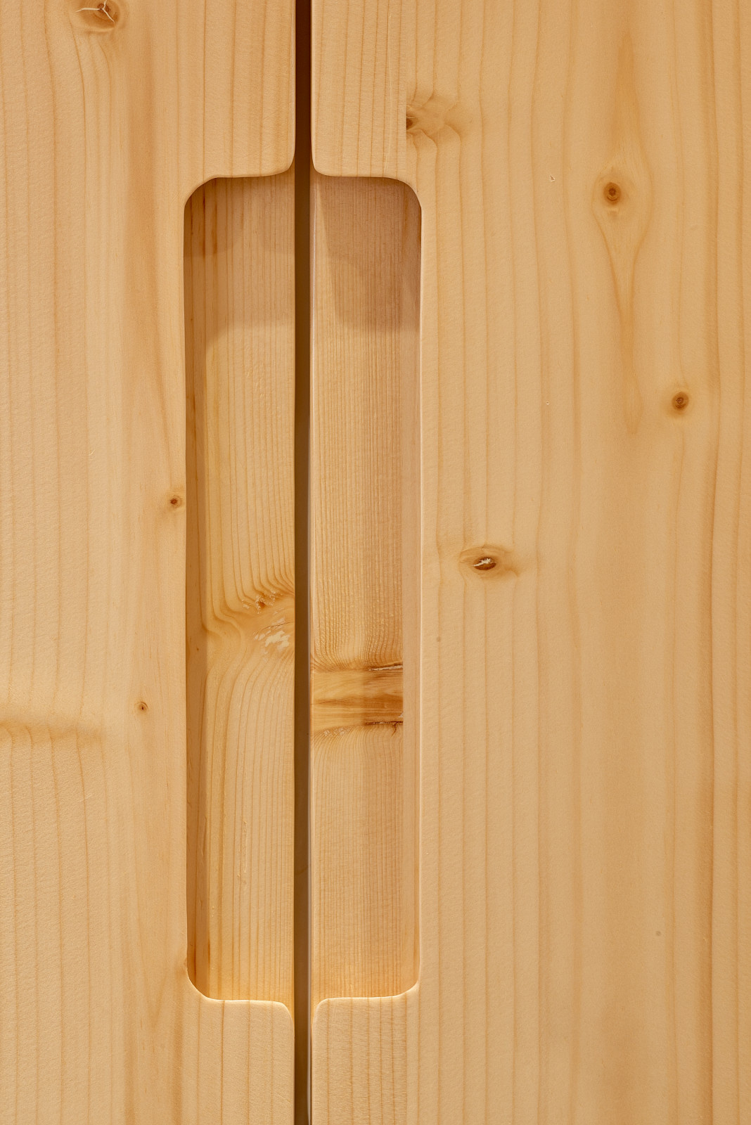 Houzz Литва: Дом на окраине Вильнюса, куда приходят олени