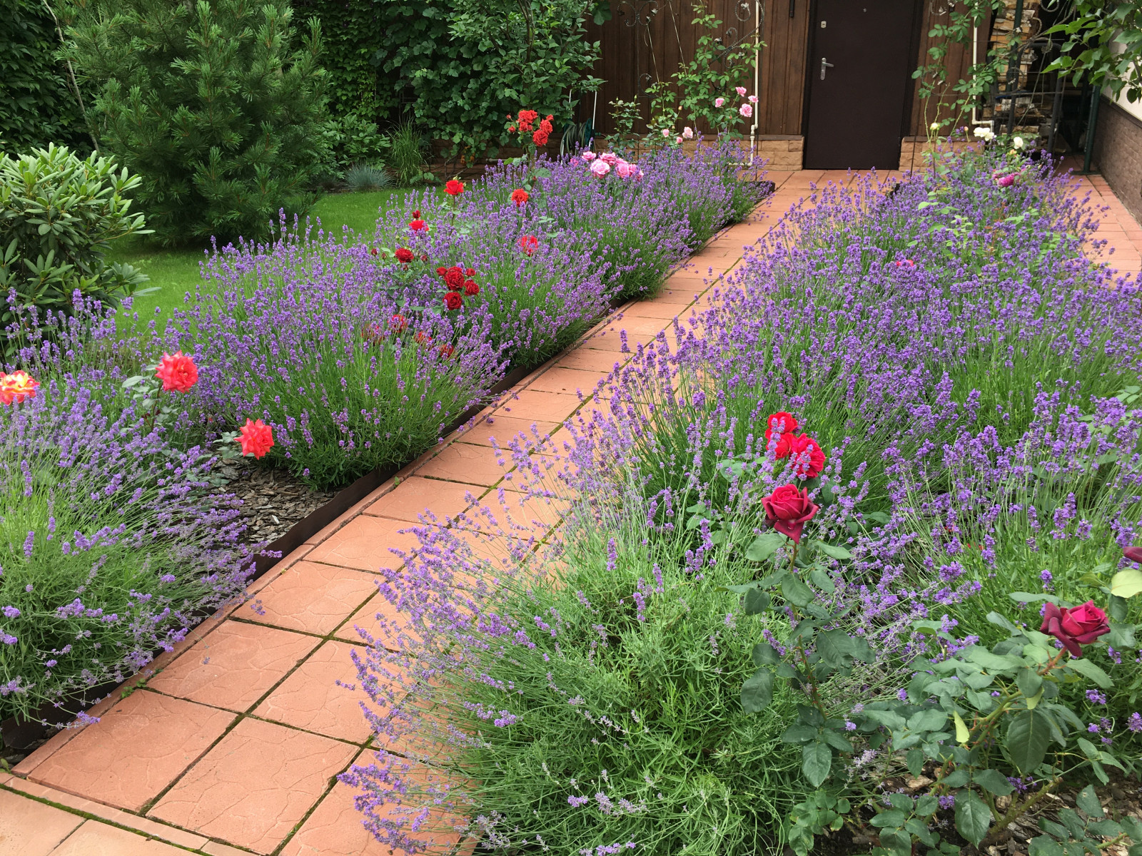 Французский садик в поселке Рыбаки Дмитровское шоссе