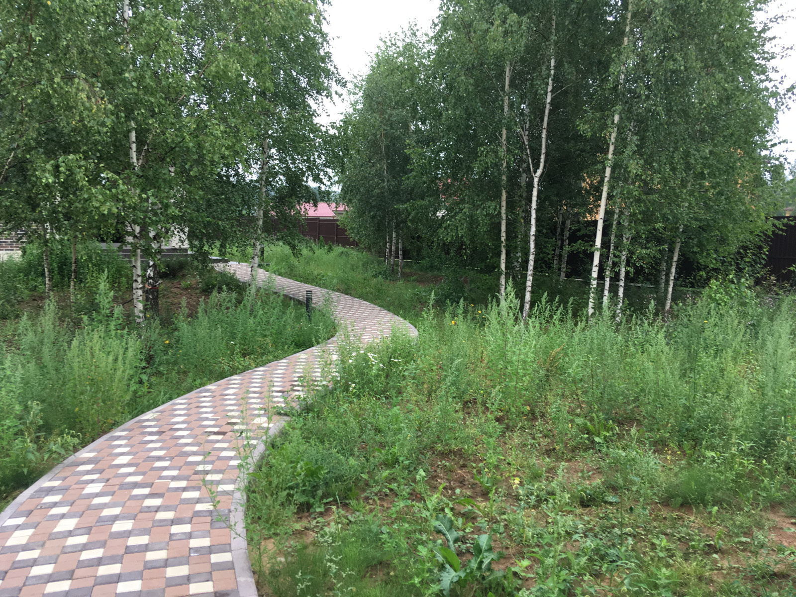 Озеленение под ключ объекта Заказчика