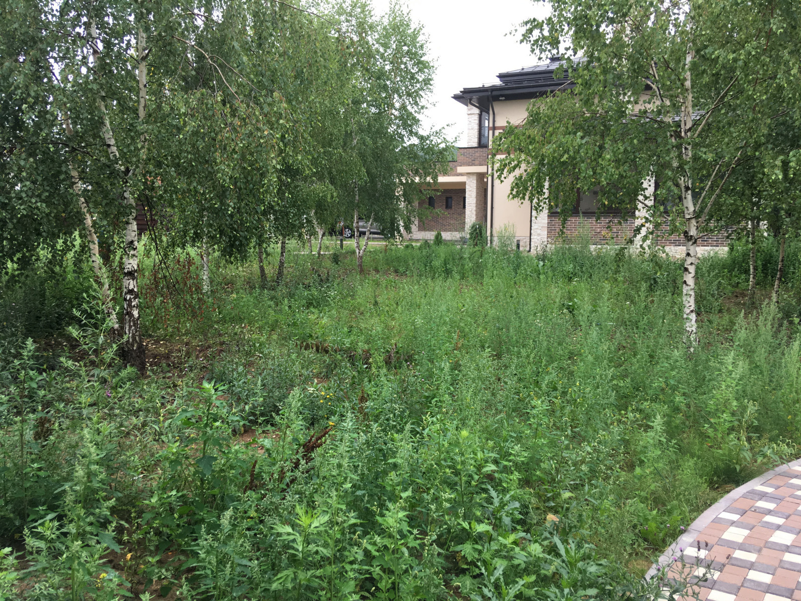 Озеленение под ключ объекта Заказчика