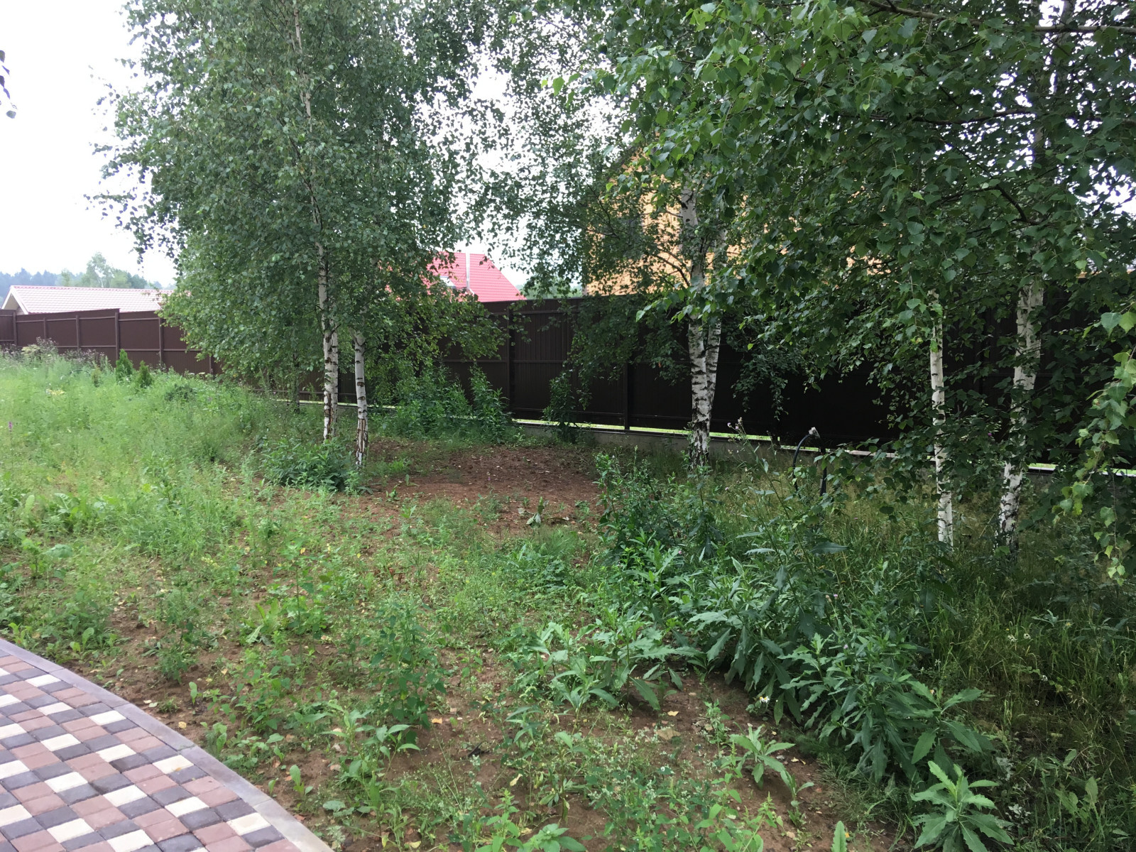 Озеленение под ключ объекта Заказчика