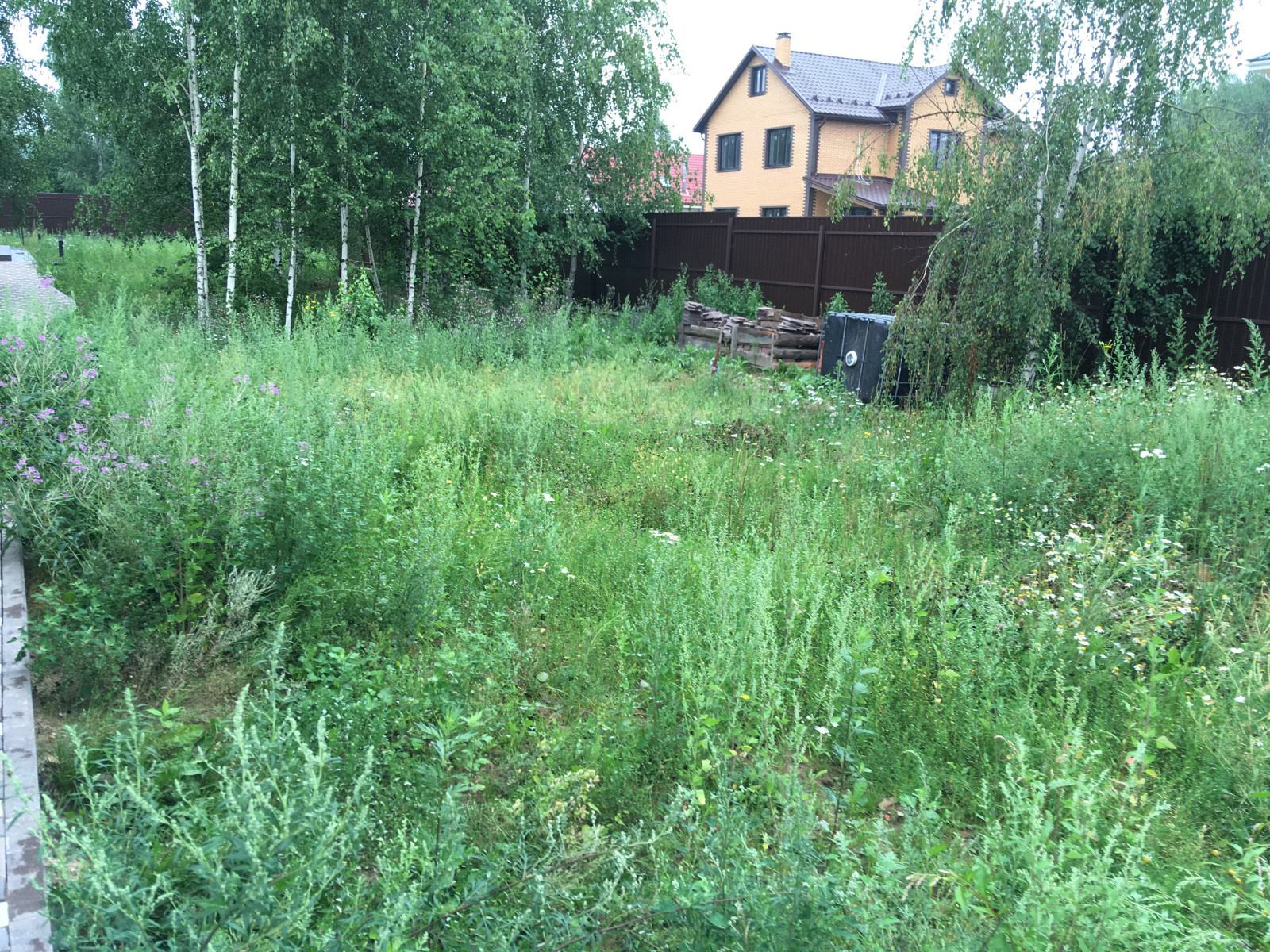 Озеленение под ключ объекта Заказчика