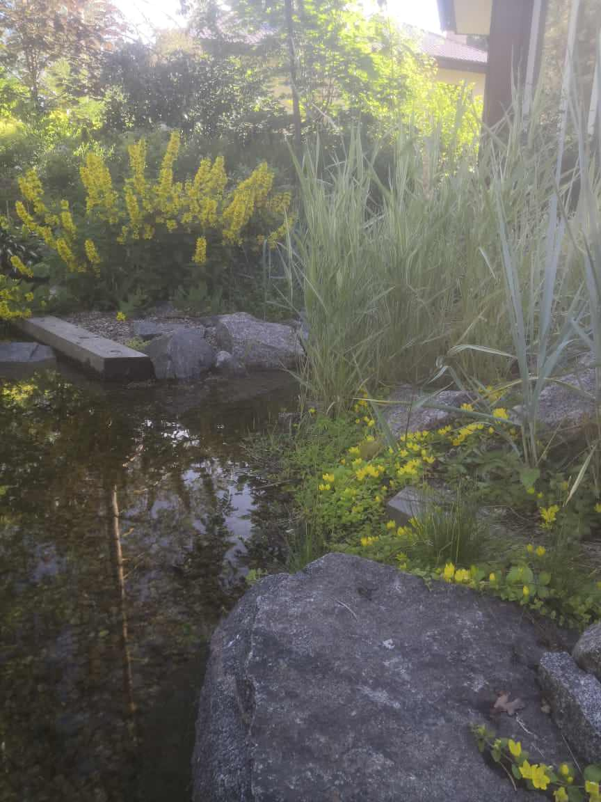Плавательный водоём в Зеленогорске (Лен. обл.)