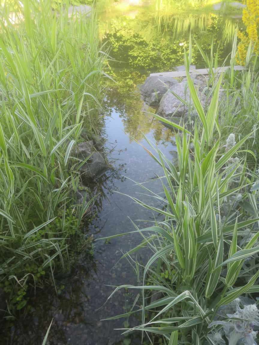 Плавательный водоём в Зеленогорске (Лен. обл.)