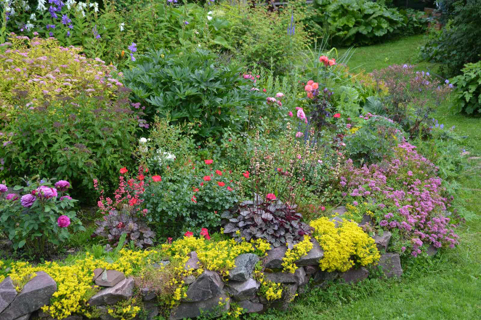 Сад  «Моя цветущая планета».