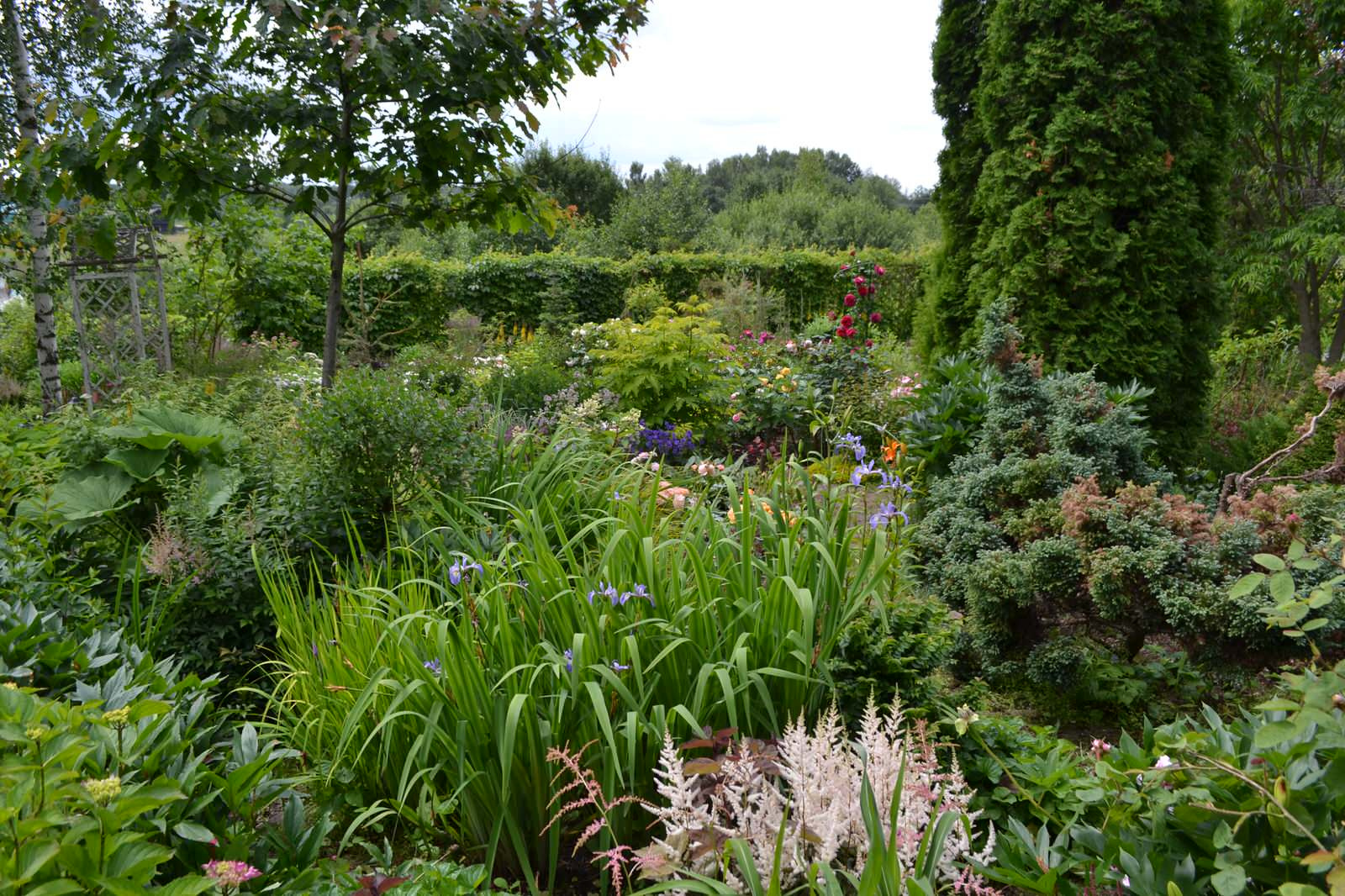 Сад  «Моя цветущая планета».