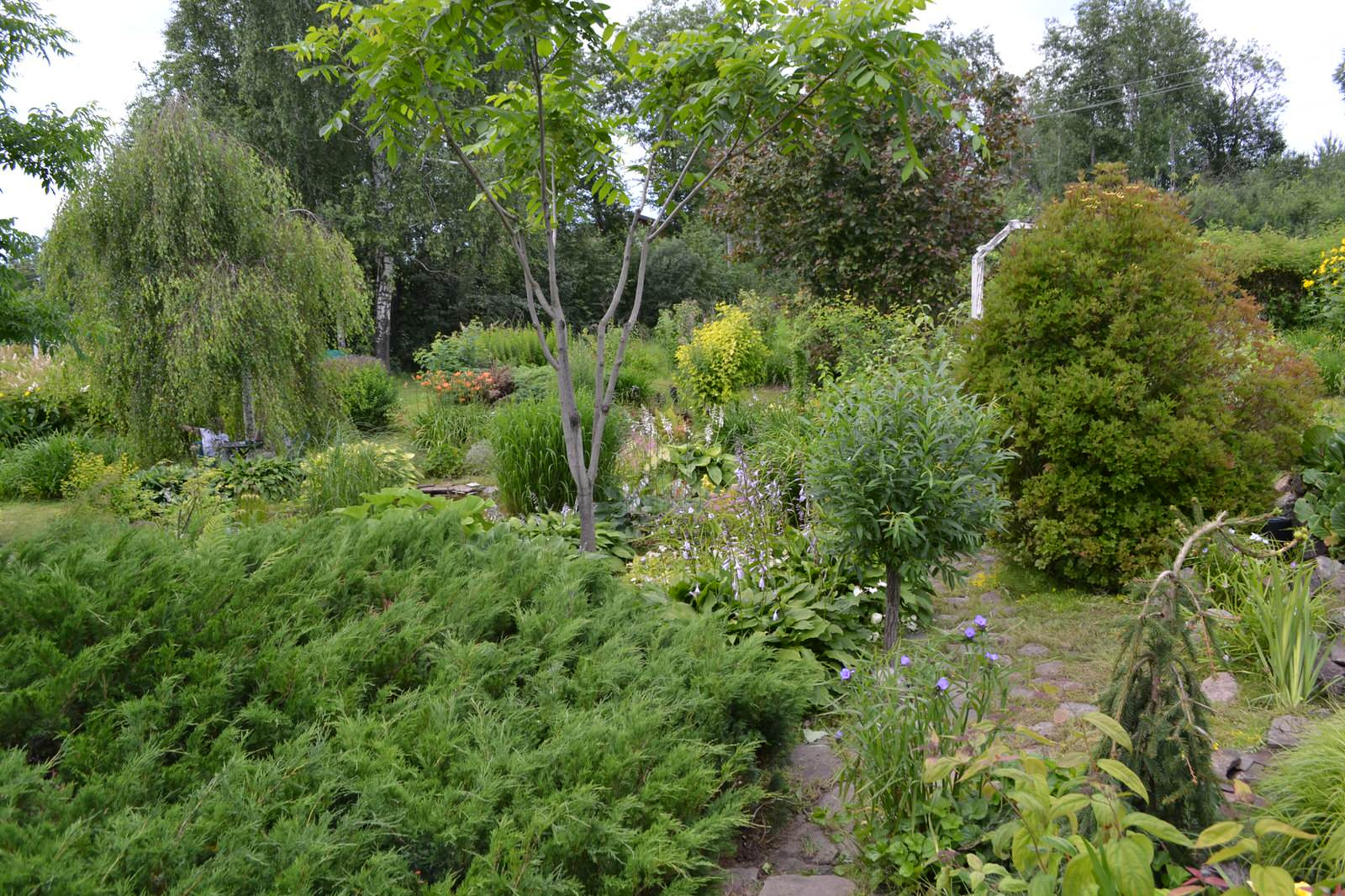 Сад  «Моя цветущая планета».