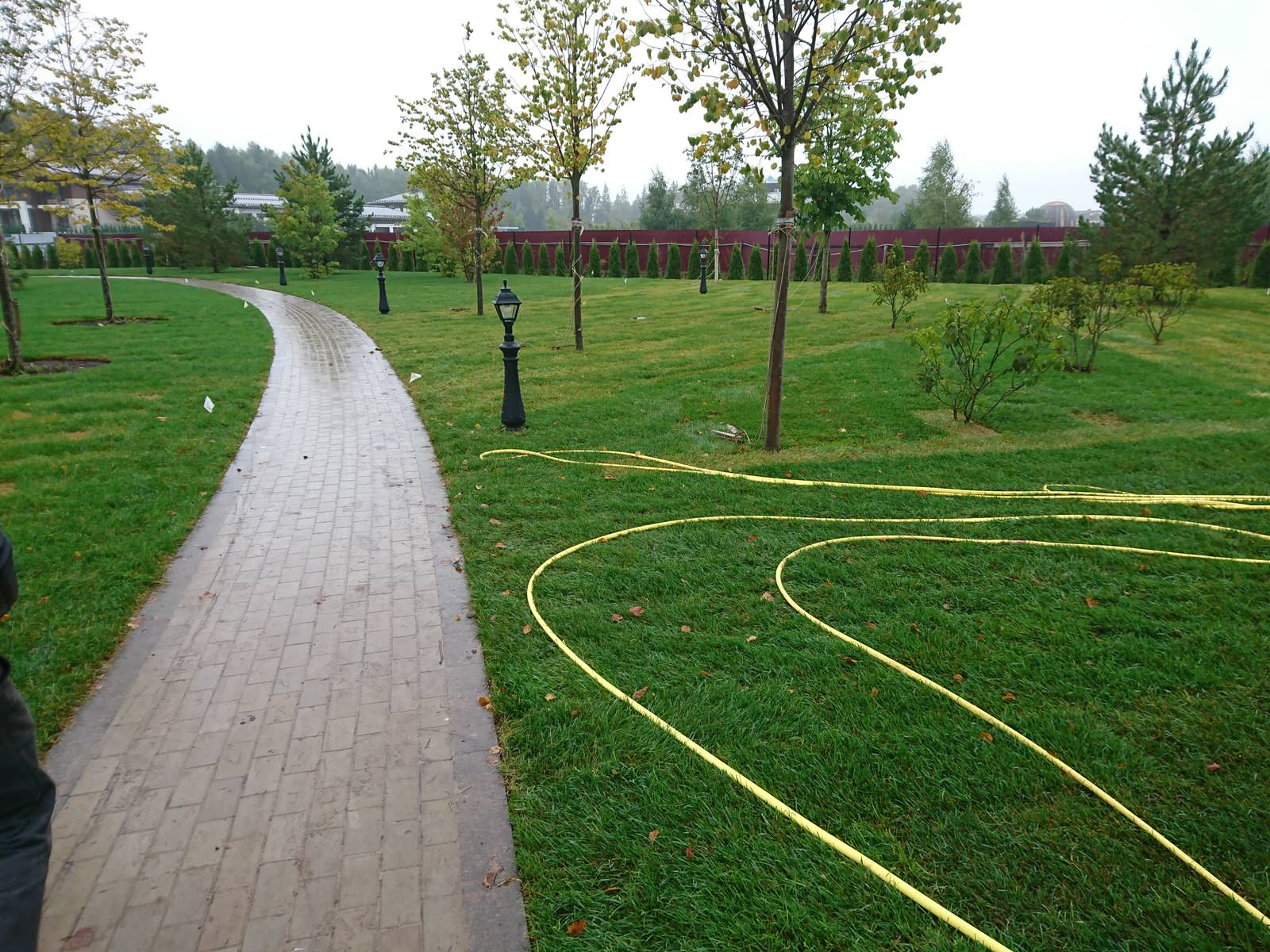 Сергей Чупахин